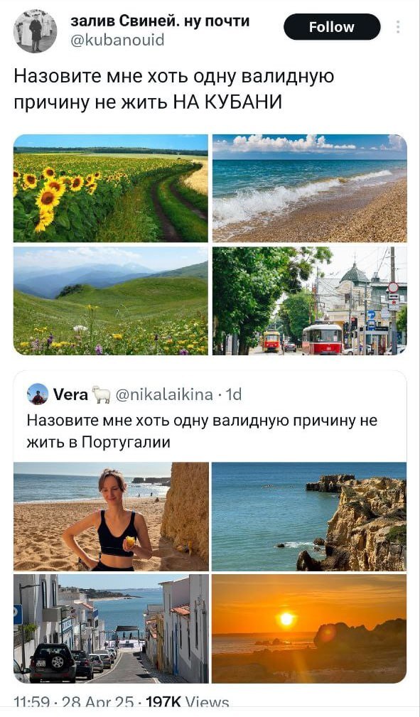      -   ! , , X (Twitter), , ,  , , , , 