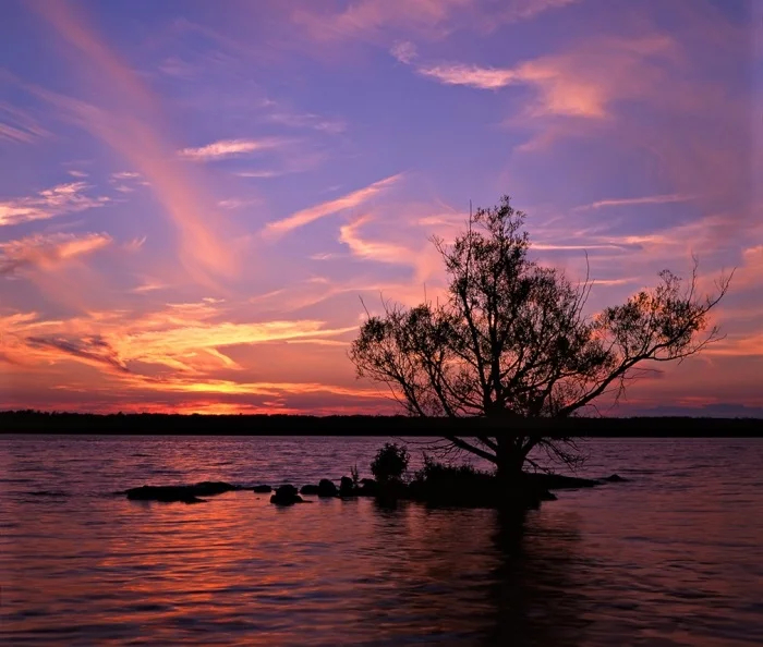 Если на клочке суши растет хотя бы одно дерево, то по местным правилам это уже остров