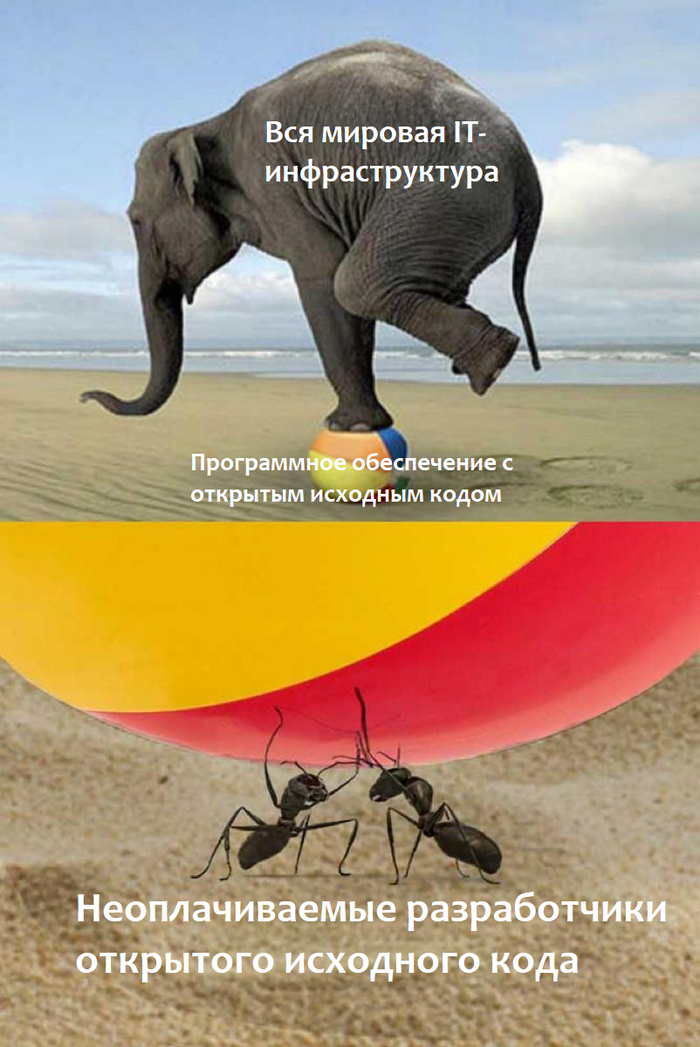       ,  , IT , , , 
