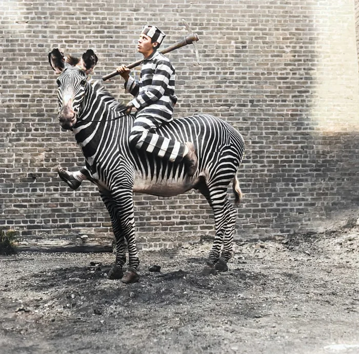 Подборка интересных и необычных фотографий из США. 20 раскрашенных фотографий ХХ века. Часть XX 20 век, Старое фото, Фотография, США, Колоризация, Длиннопост