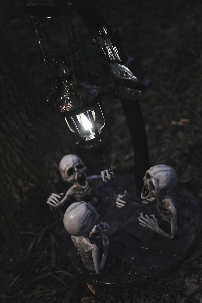  | Bloodborne 3D , , Bloodborne,  , 