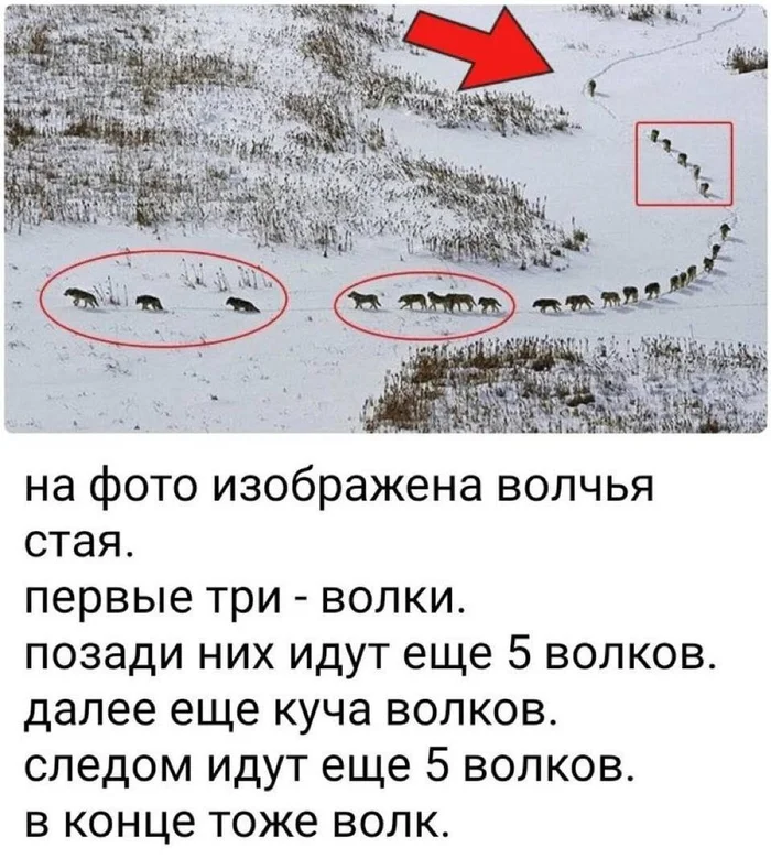 2idrcym6.webp