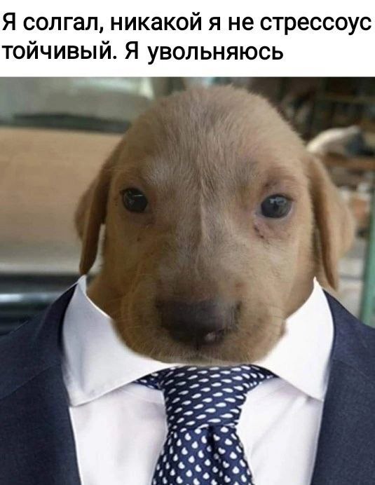 До майских осталось совсем немного, надо только дожить…