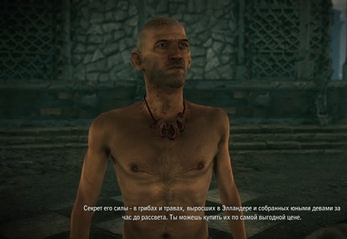 Элландер из книги Сапковского.