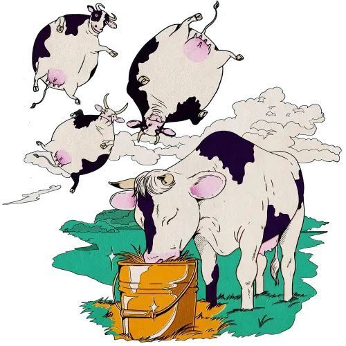 Новая пищевая добавка позволяет снизить метановые выбросы (отрыжки) у коров на 30%