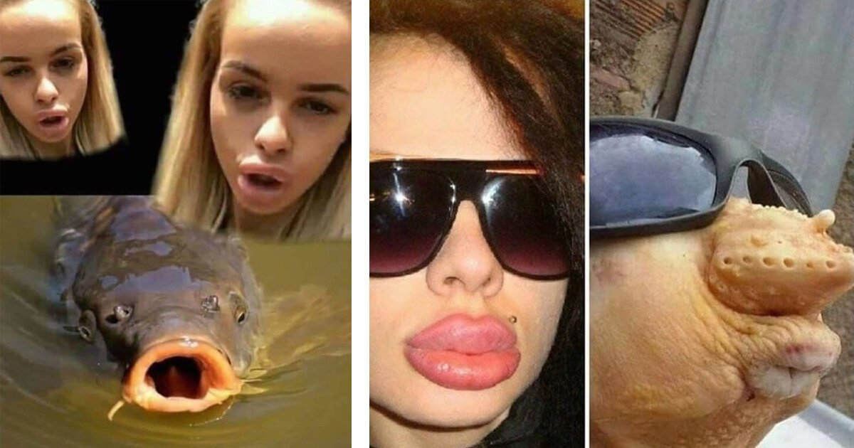 Порно рыба сосет член