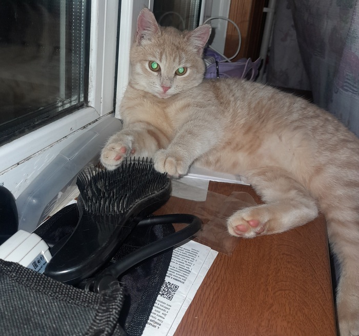 Это тоже мес.7