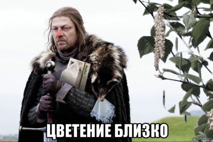      , , , , , , , ,  , , ,  , Telegram (),  ()