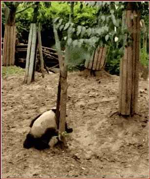     ,   , , , 