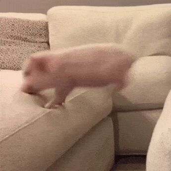    ,   , , , 
