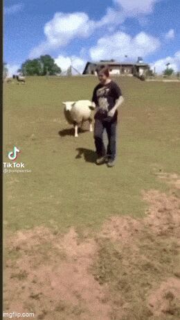     ,   , , , 