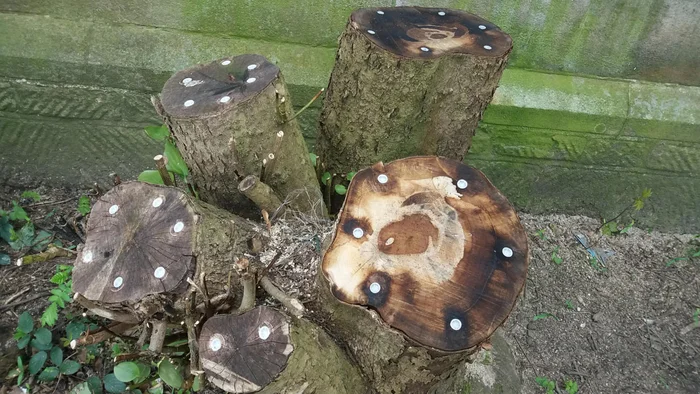 Что это за штука - 233 Reddit, WhatIsThisThing, Перевел сам, Видео, Длиннопост