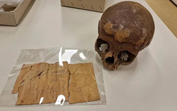 ,     1929 ,      IV