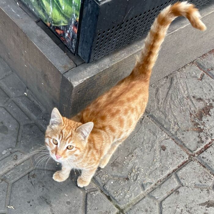       !   ! , ,   , ,  ,  , ,  , ,   ,  ,  , ,  , 