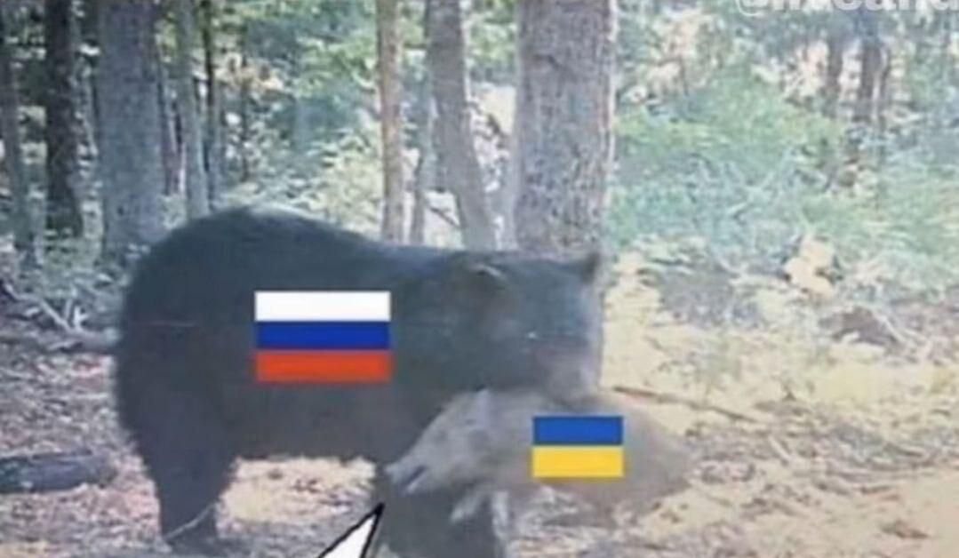 Ну помогите, он же выигрывает!