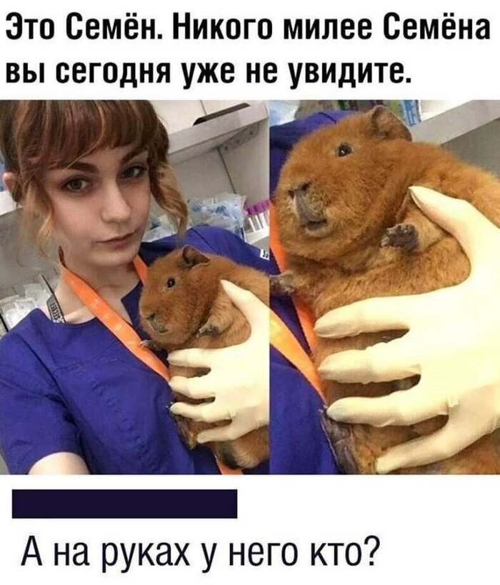  ) ,   , , ,  ,  , , , 
