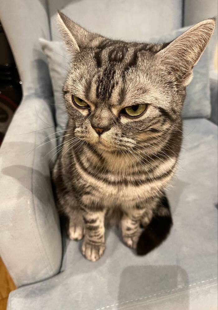           ?           , , ,  