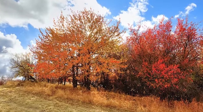 ������. ���� ������.