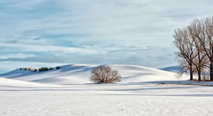 ������. ���� ������.