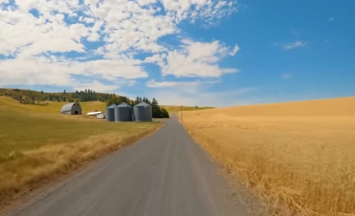 ������. ���� ������.