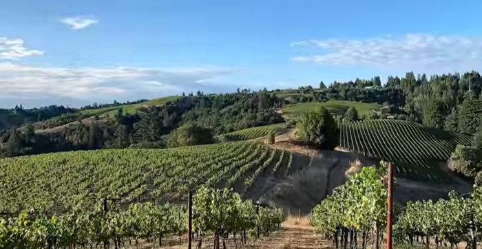 �����������. ����������.