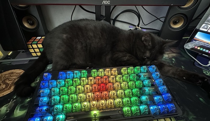 Ну погладь меня. Хватит работать свою работу)