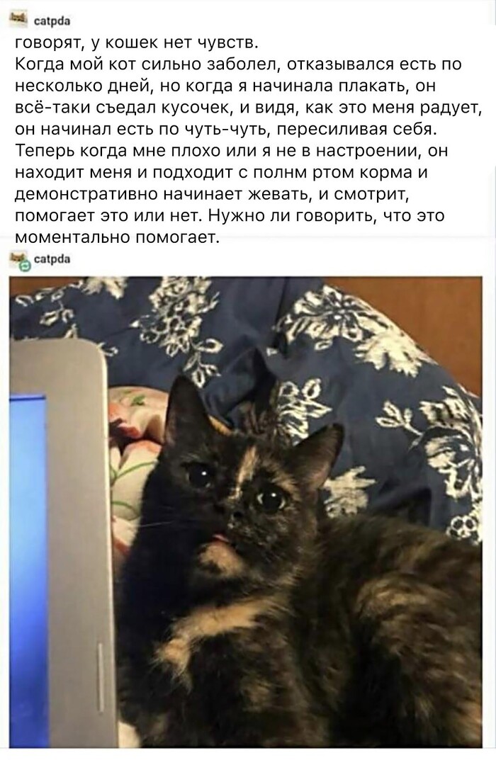   , ,   , , , ,  ()