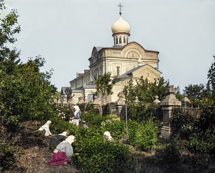 Автор: Дмитриев М. П.