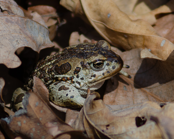 Смущение или принебрежение