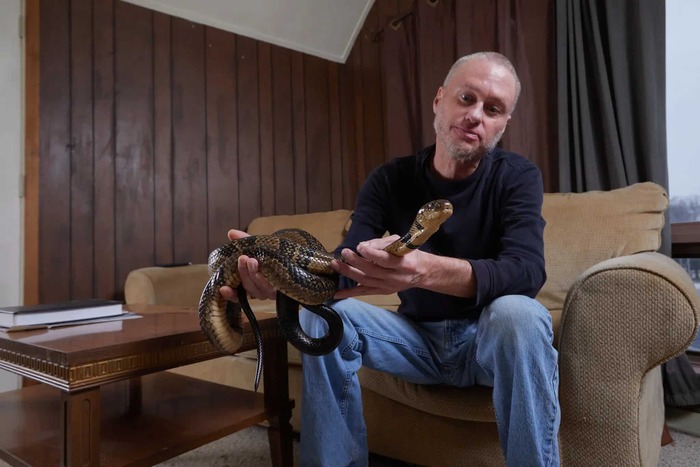 Ученые создали лекарство, которое нейтрализует яд 19 самых смертоносных змей