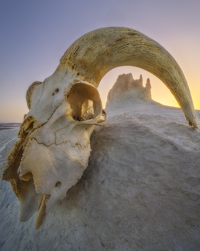 ILCE-7RM5 1/90 sec f/11 ISO 200 LAOWA FFII 10mm F2.8 C D Dreamer 10 mm