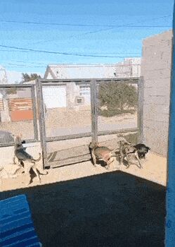   , , , 
