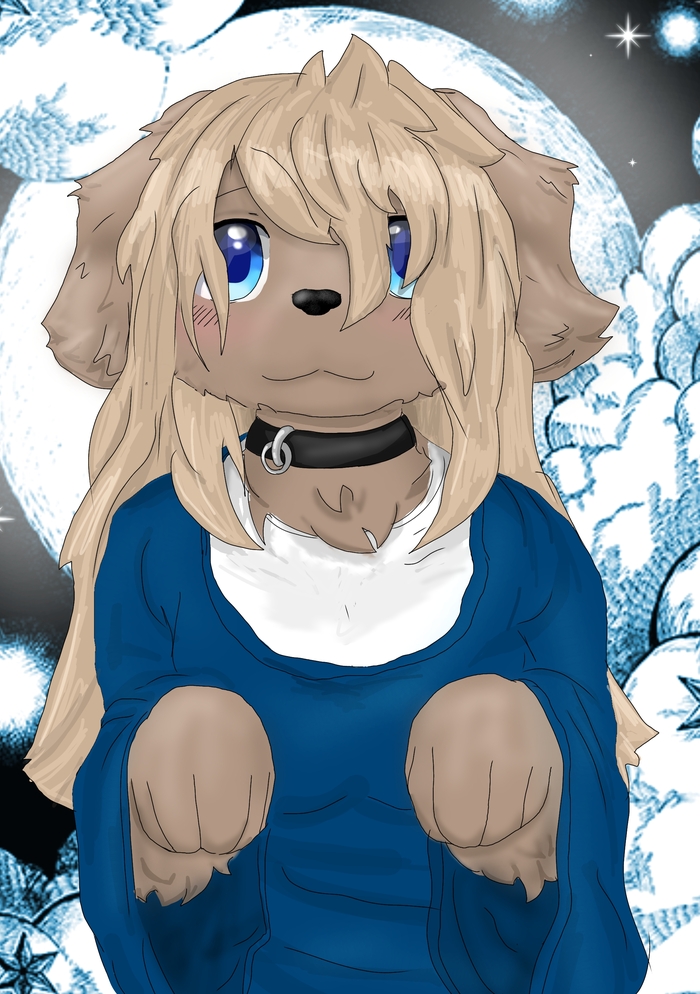 ϸ ,   , , Furry Dog, 