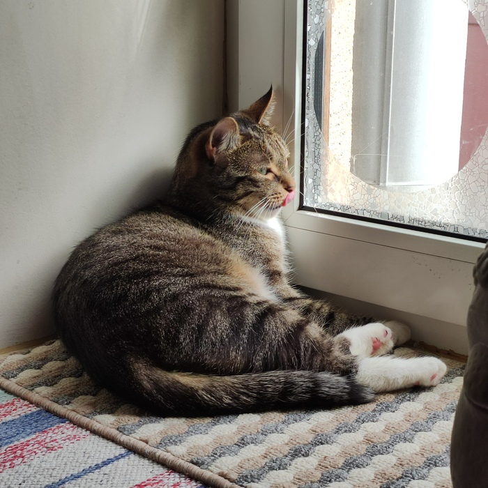 Продолжение поста «Нельзя оставить наблюдение...»