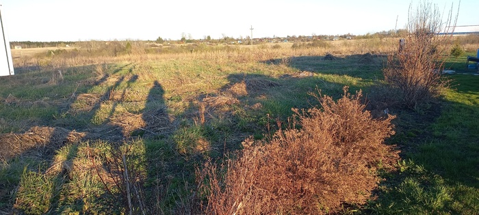     .       ,    .    ,  , .