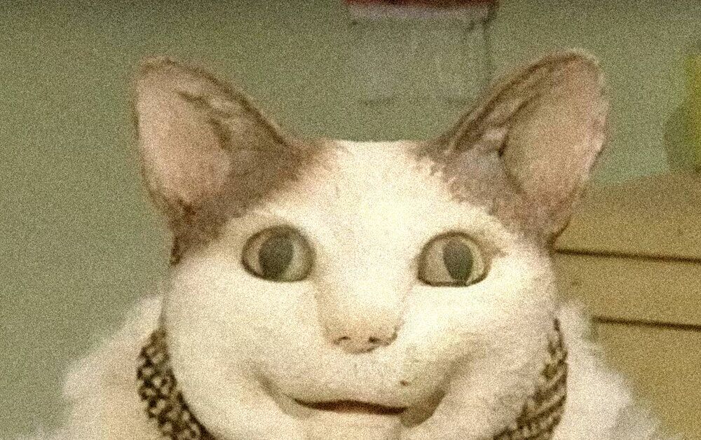 pikabu.ru