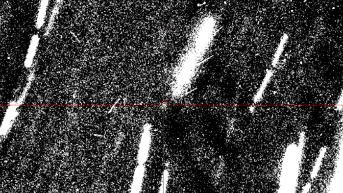    -,      2024 PT5   2024 . ( :  - / Light Bridges / Instituto de Astrofísica de Canarias)