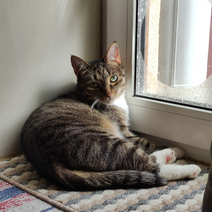 Продолжение поста «Нельзя оставить наблюдение...»