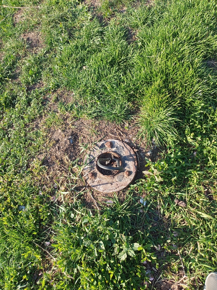 Опору освещения тоже на дачу ту-ту ?