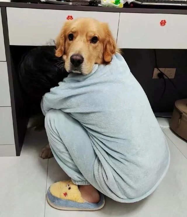 ''  " , , , ,  , 