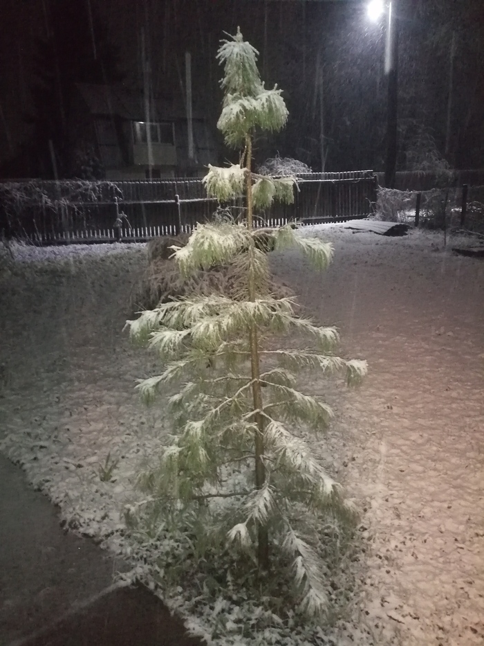 Снега всё больше