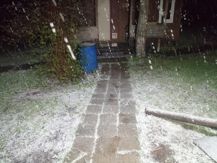 Вечером пошёл снег. Ничто не предвещало. Иногда в начале мая бывает снег.