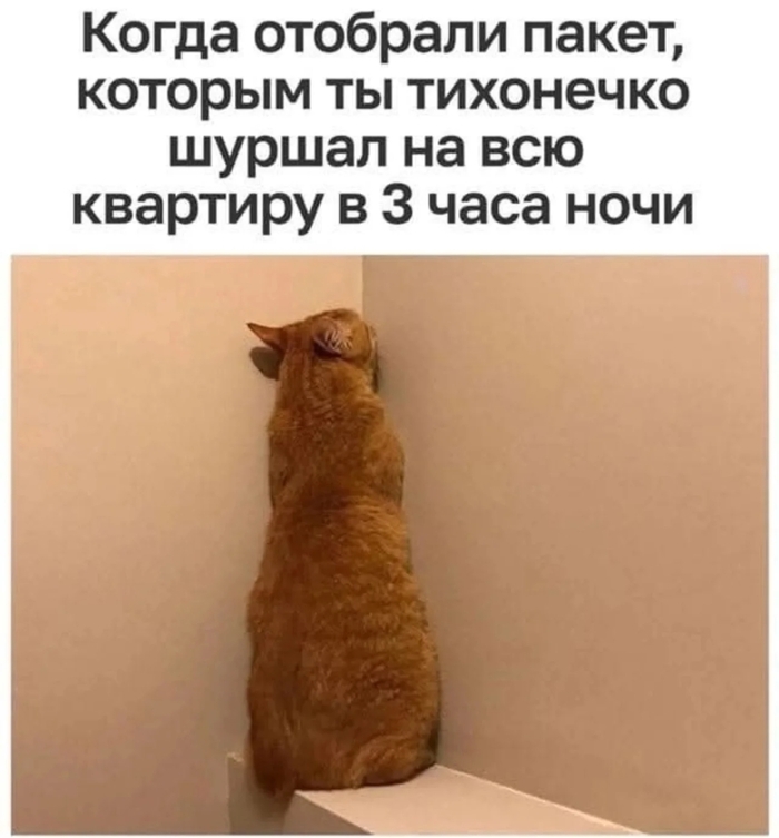    -    ,  , ,   , , ,  