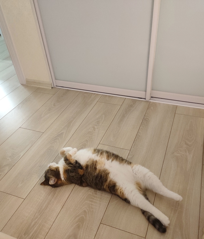     ... ,   , , , 