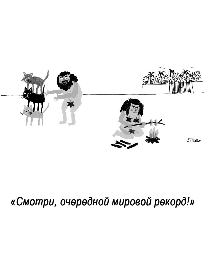    , The New Yorker,   , , 