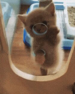   , , , 