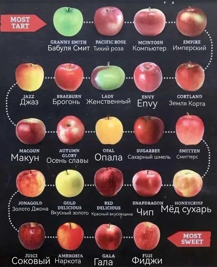 Ответ на пост «Сорта яблок. Вкусовая шкала»