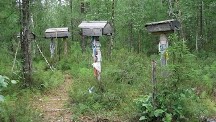 Домики-уру вблизи кладбищ хантов