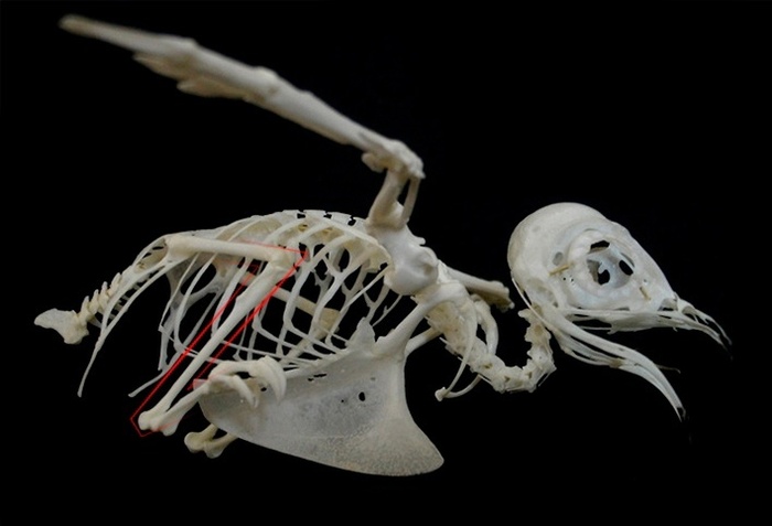 ��� �� �����, ������ ������ ���������� �������� �������� ������� �� ��������� � �����.