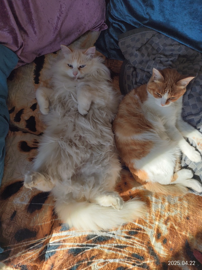       ,  , ,  , ,  ,  ,   
